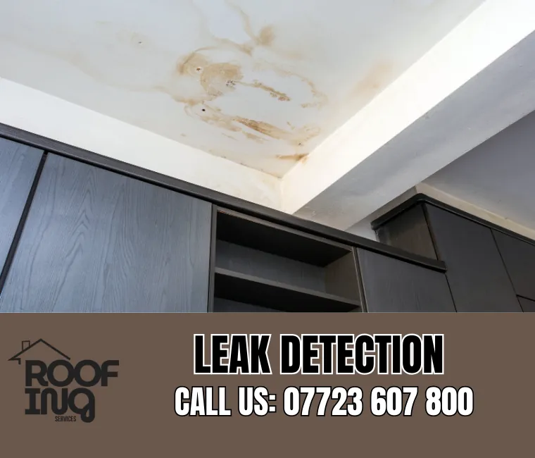 Roof Leak Detection in Helston