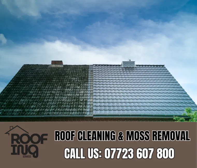 Roof Cleaning in Helston